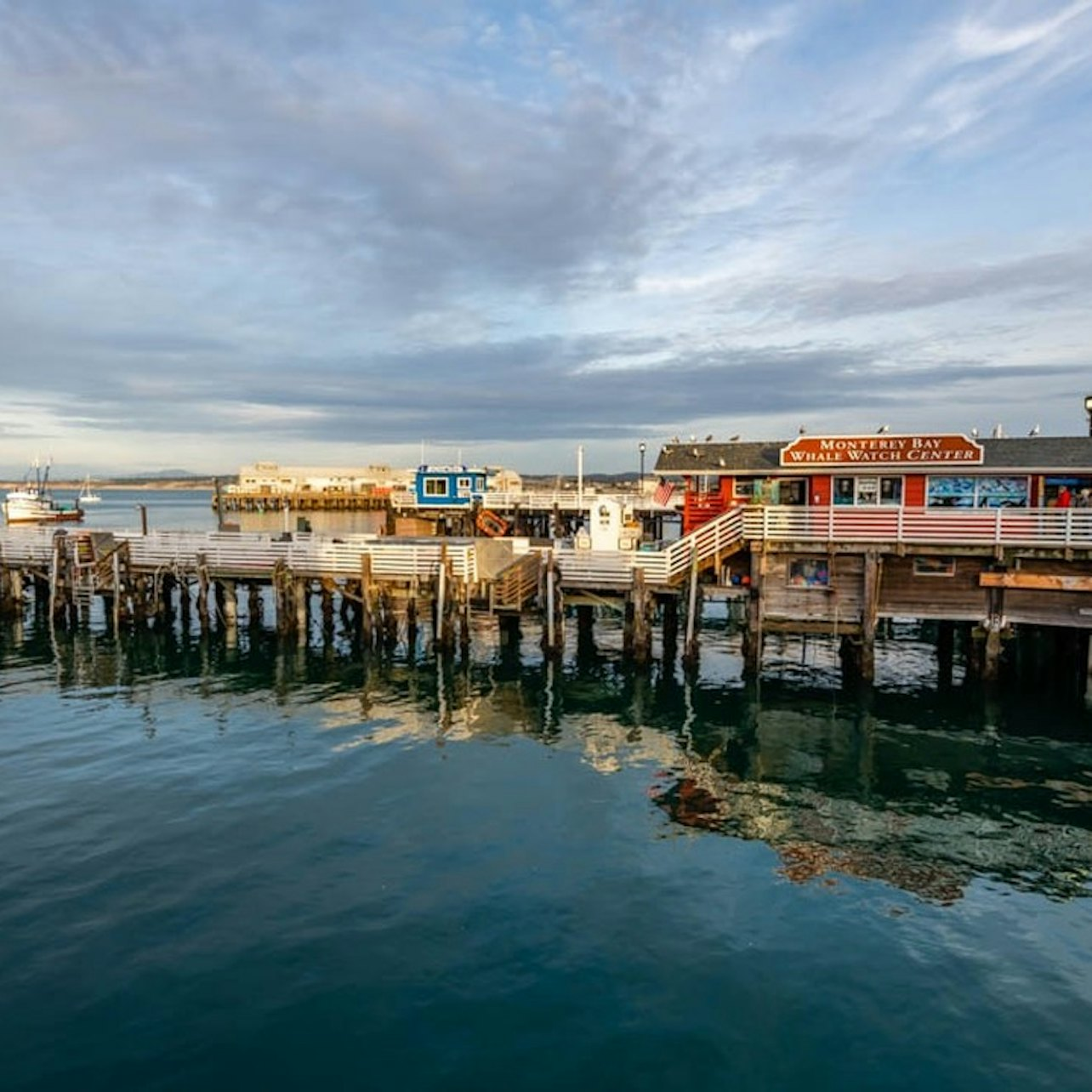 From San Francisco: Full Day Monterey and Carmel Tour - Photo 1 of 16